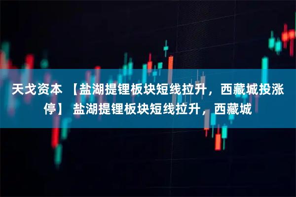 天戈资本 【盐湖提锂板块短线拉升，西藏城投涨停】 盐湖提锂板块短线拉升，西藏城